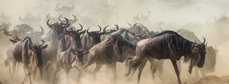 migrating-your-back-office-790x290.jpg